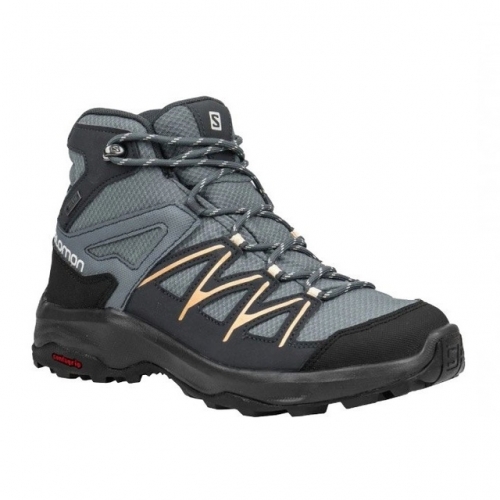 Daintree Mid GTX W