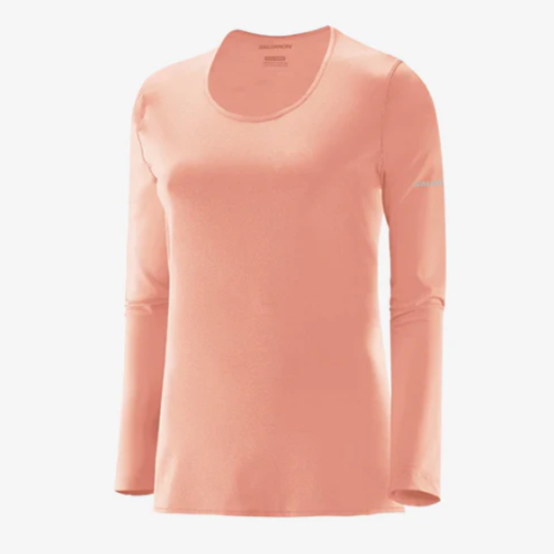 Camiseta Térmica D Hybrid,  Salomon