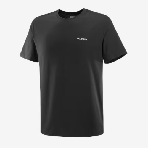 Remera MC H Chest Logo Regular