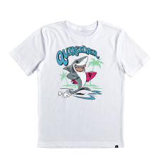 Remera MC N Washed Out, REMERAS Quiksilver