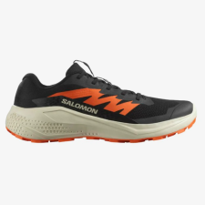 Alphaglide,  Salomon