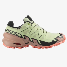 Speedcross 6 GTX W,  Salomon