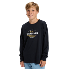 Remera ML N Ev Type Line,  Quiksilver