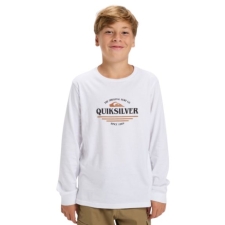 Remera ML N Ev Type Line,  Quiksilver
