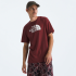Remera MC H Evolution Half Dome NF0A8B6J 