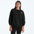 Buzo D Evolution Simple Dome Oversize NF0A8FKT 